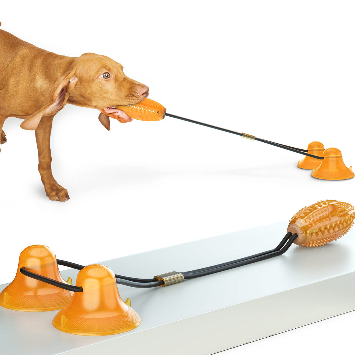 Multifunction Double Tug Rope toy for dogs