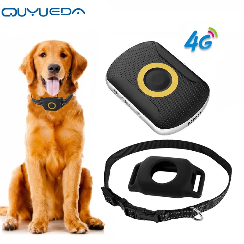 Pet Tracker