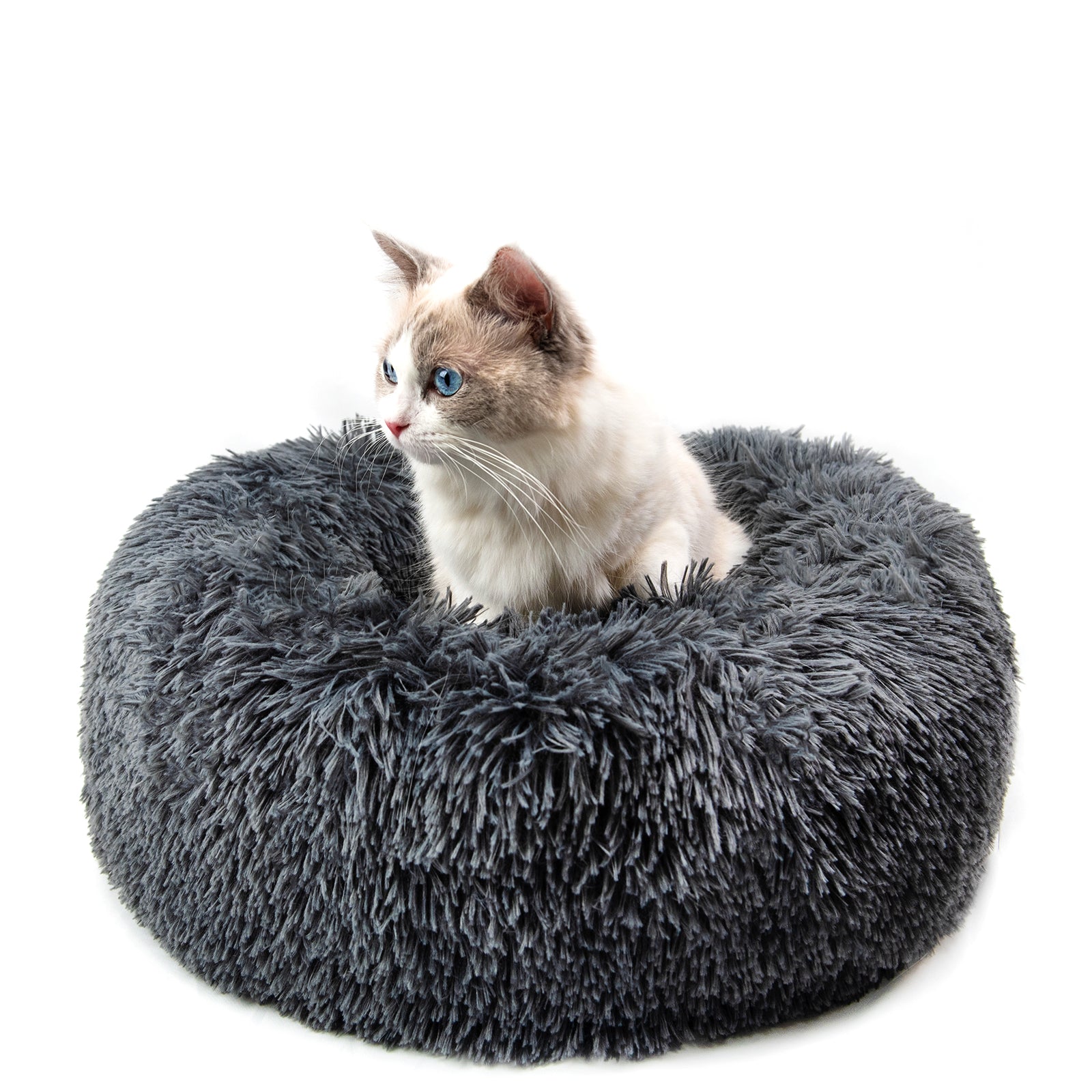 Small Round Plush Dog Bed