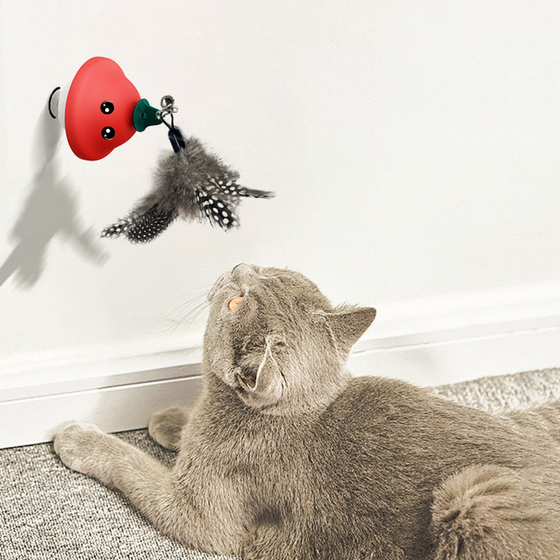 Retractable Cat Toy