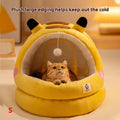 Cat Nest