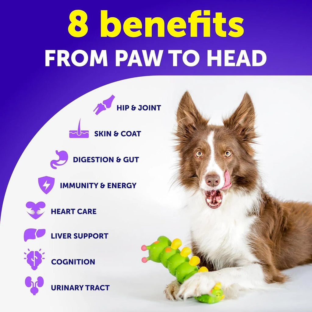 Dog Chewable Multivitam