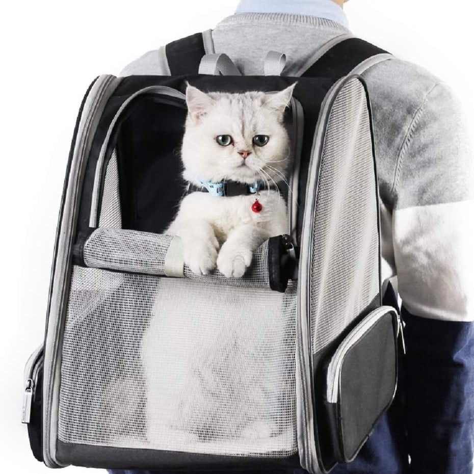 Bubble Pet Back Pack