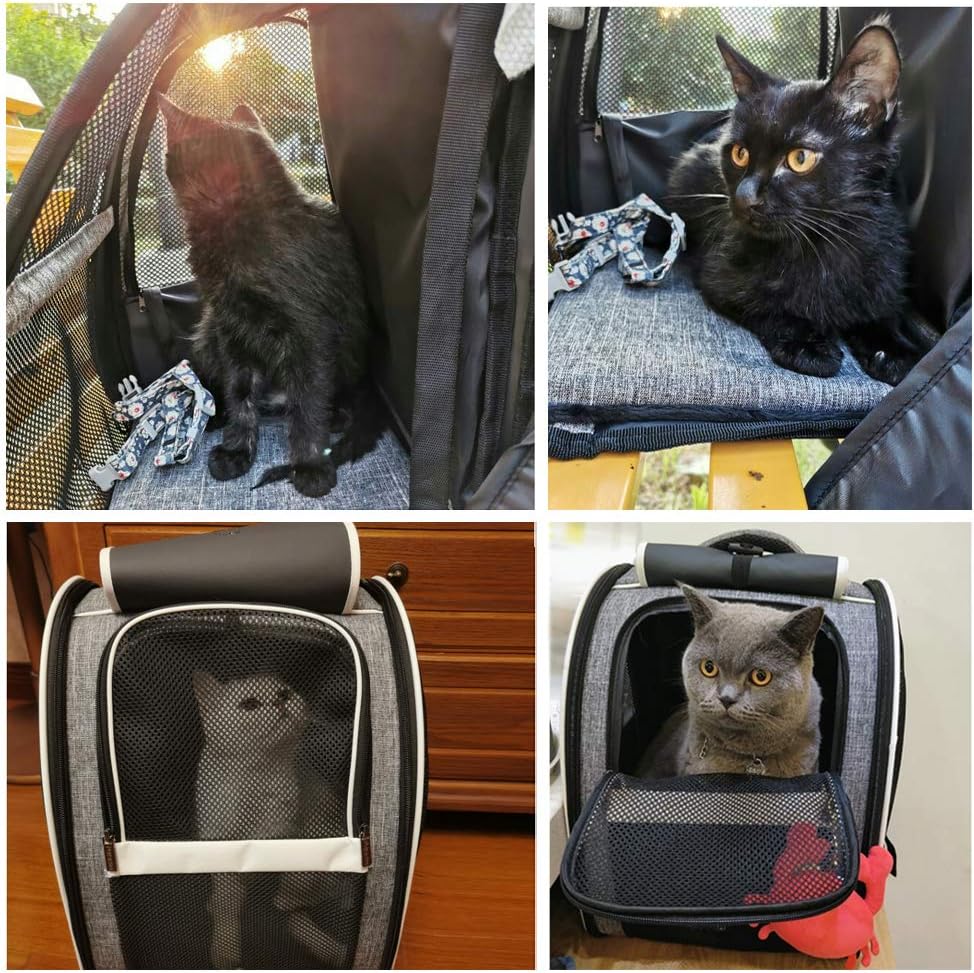 Bubble Pet Back Pack