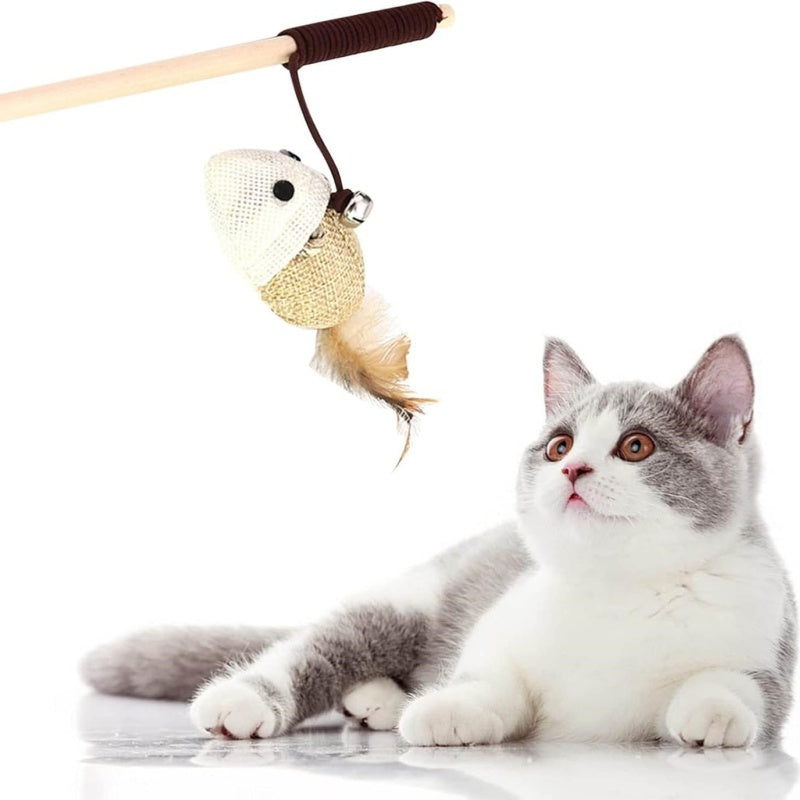 Teaser Feather Toys