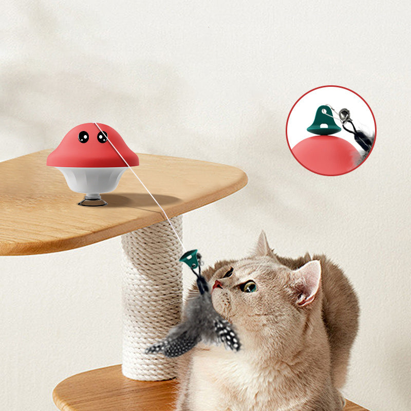 Retractable Cat Toy